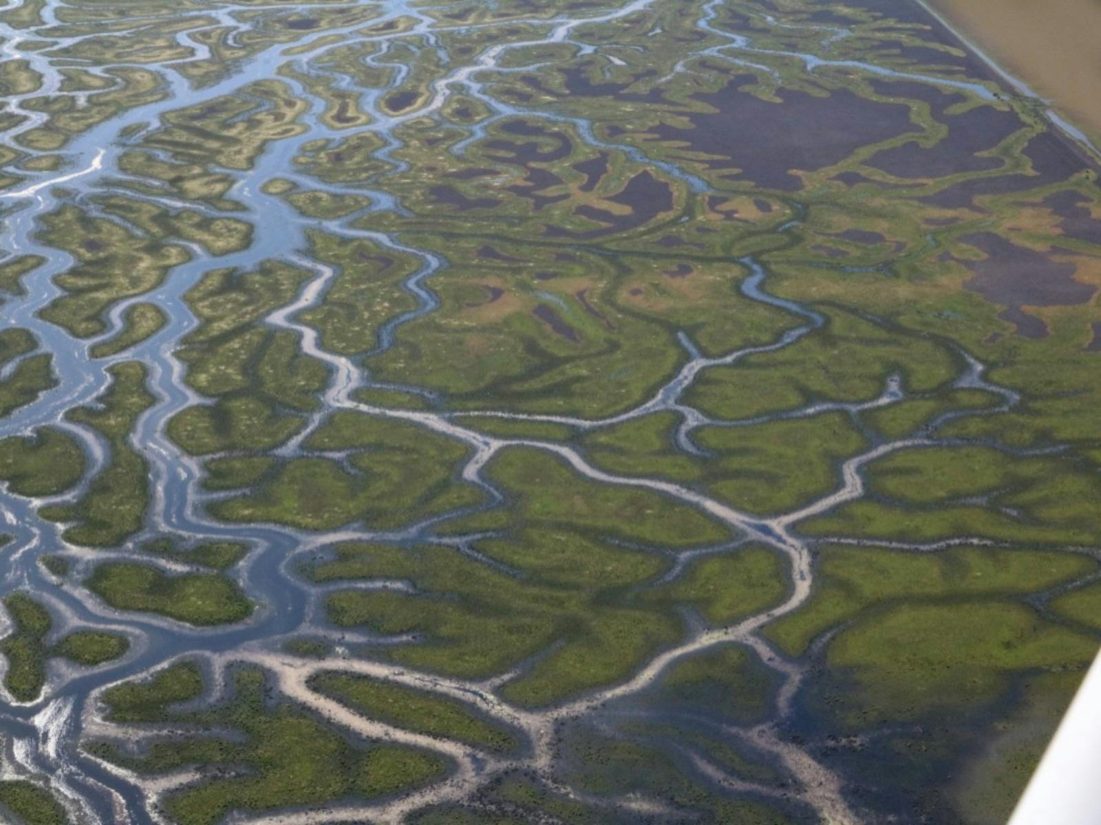 Murray Darling Scenic Flights