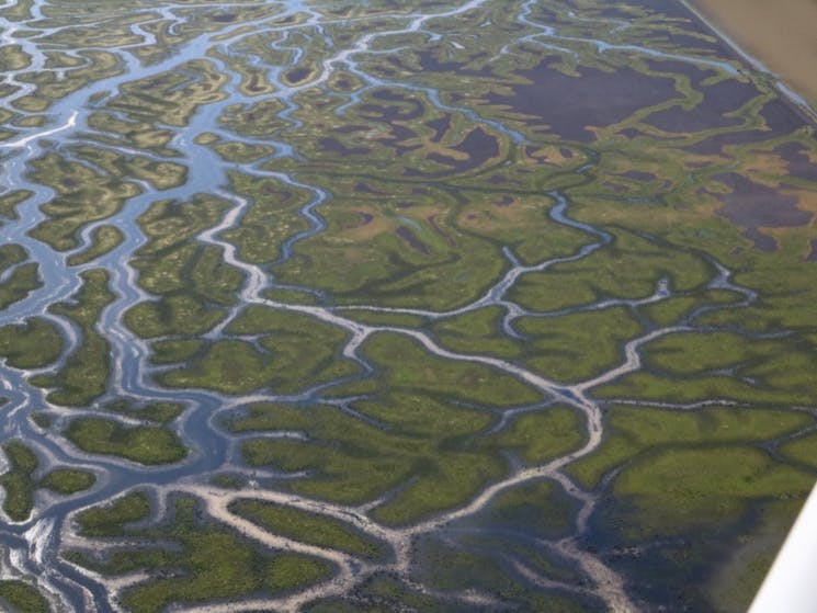 Gayini Wetlands