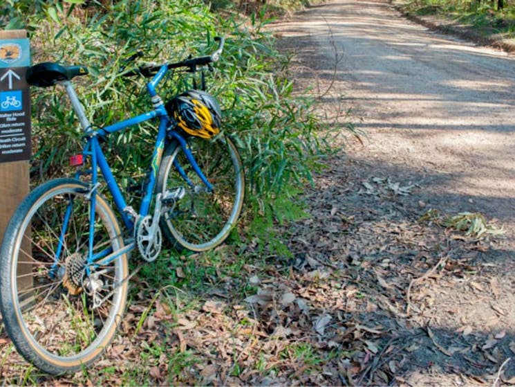 Walter Hood ride from Cudmirrah