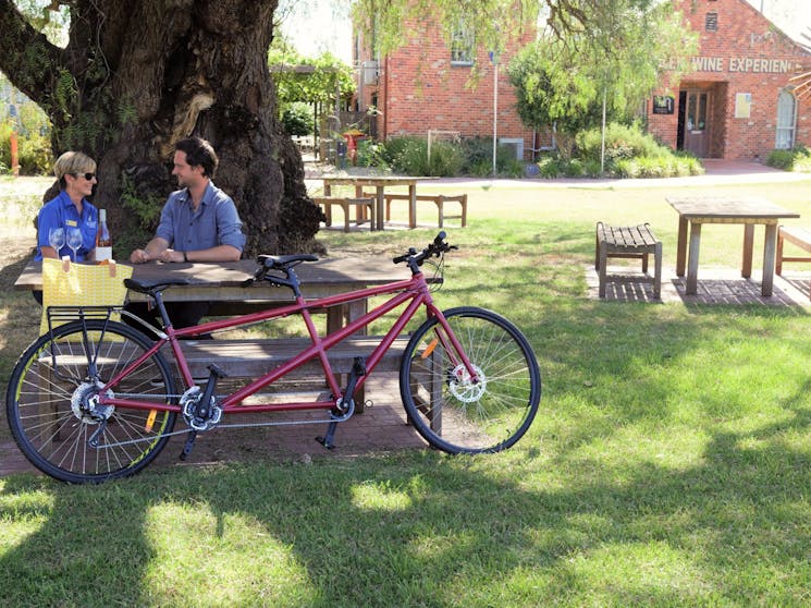 Tandem bike hire