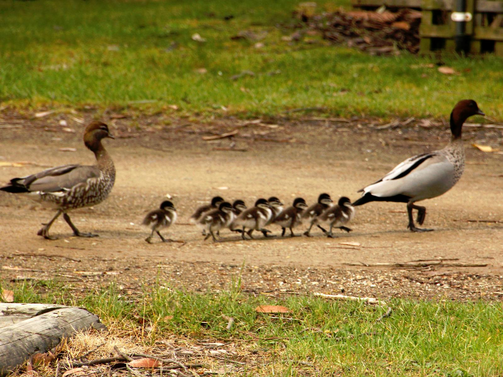 Family outing