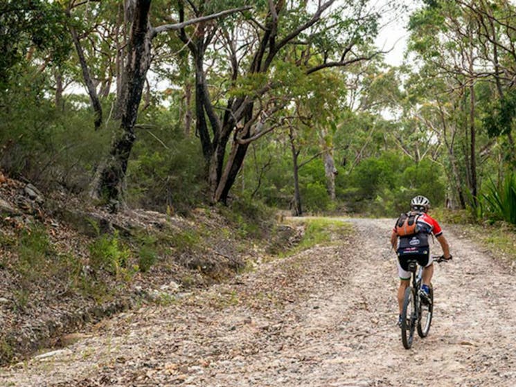 Cawleys Road trail