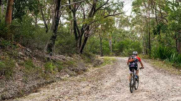 Cawleys Road trail