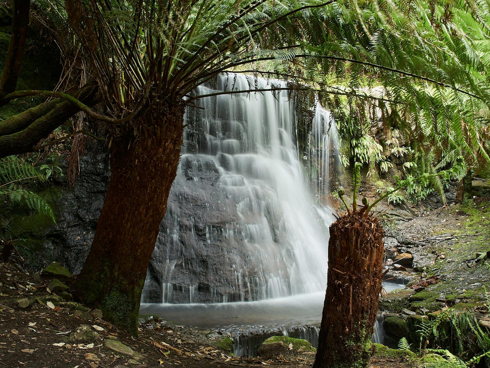Silver Falls waterfall in Wellington Park