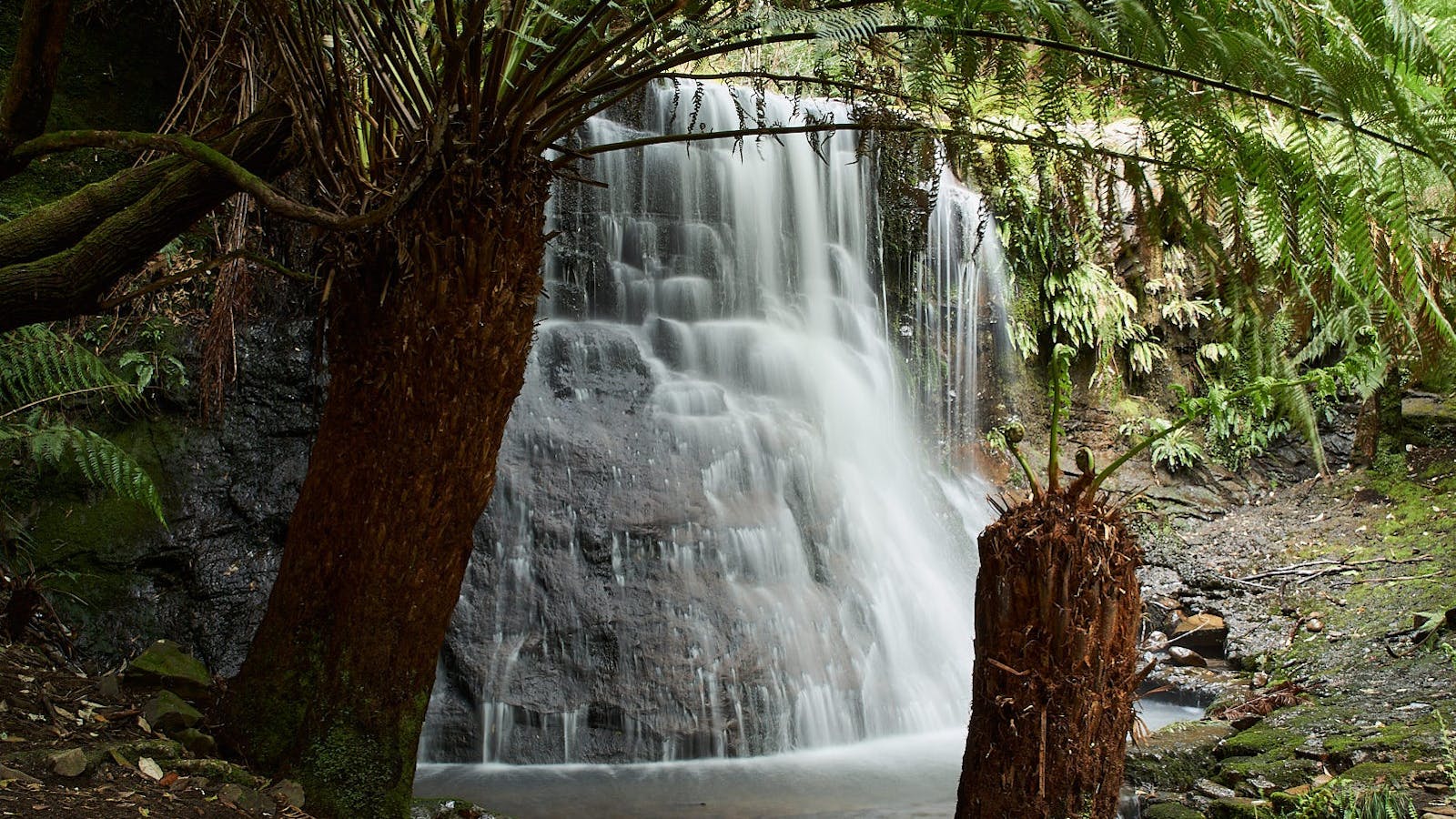 Silver Falls, Wellington Park