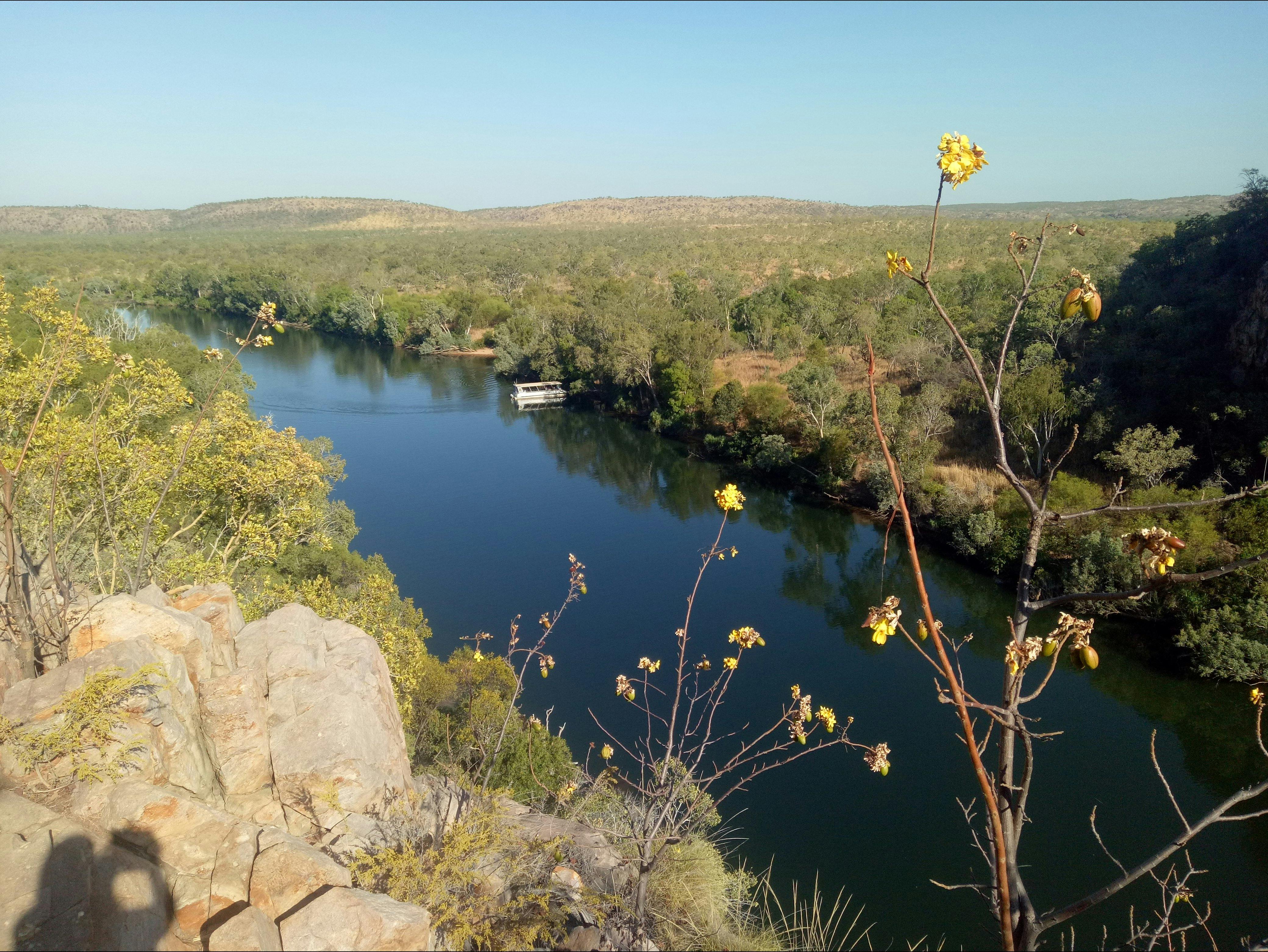 Adelaide river from the top with some Kapok tree in the front and rock formation on the sides