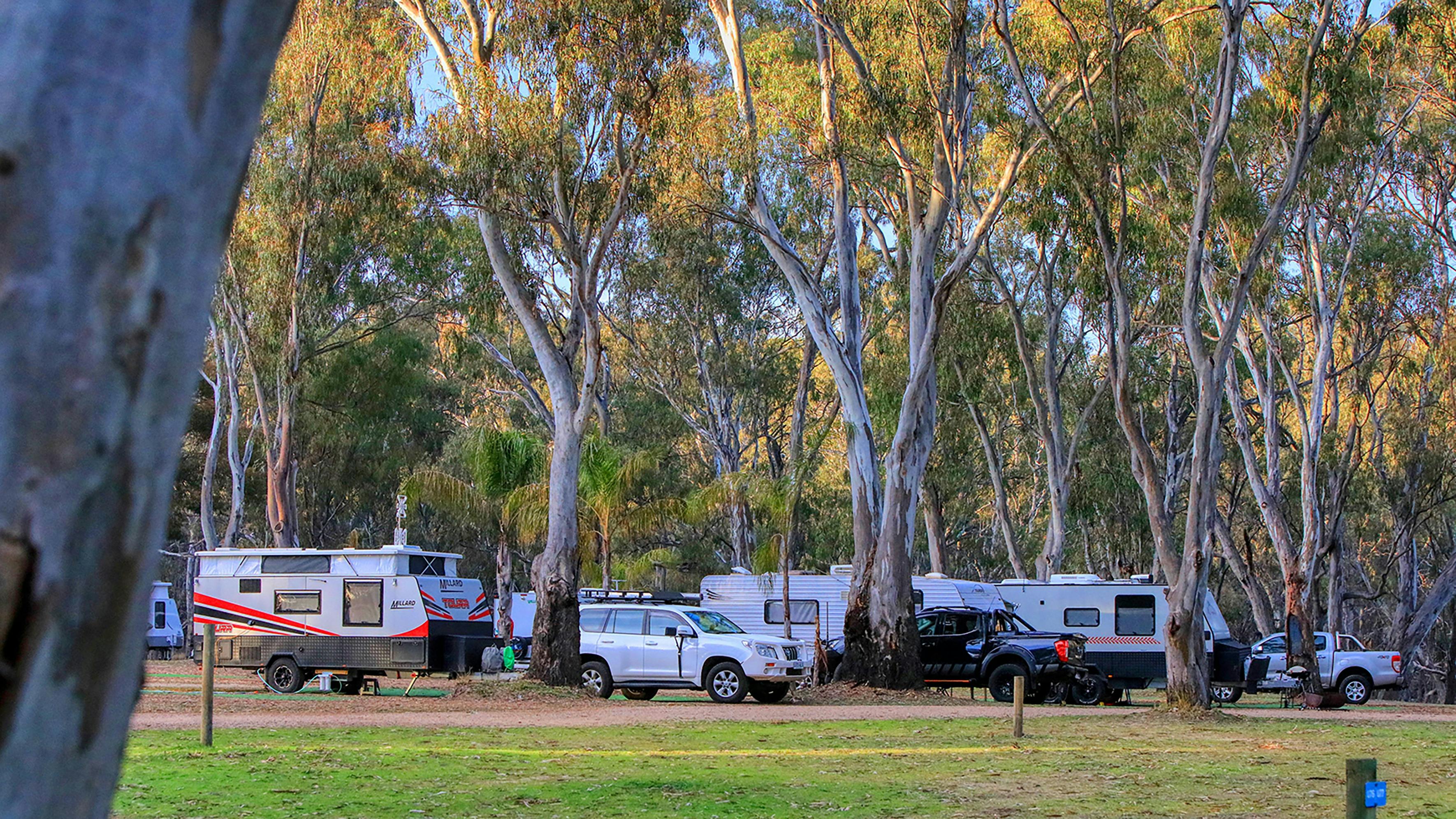 Cars and caravans parked on our spacious drive through powered sites.