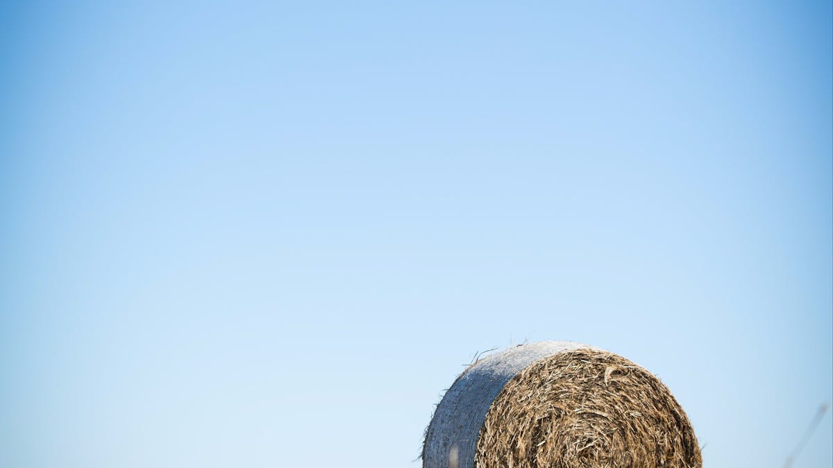 Farming, Western Country