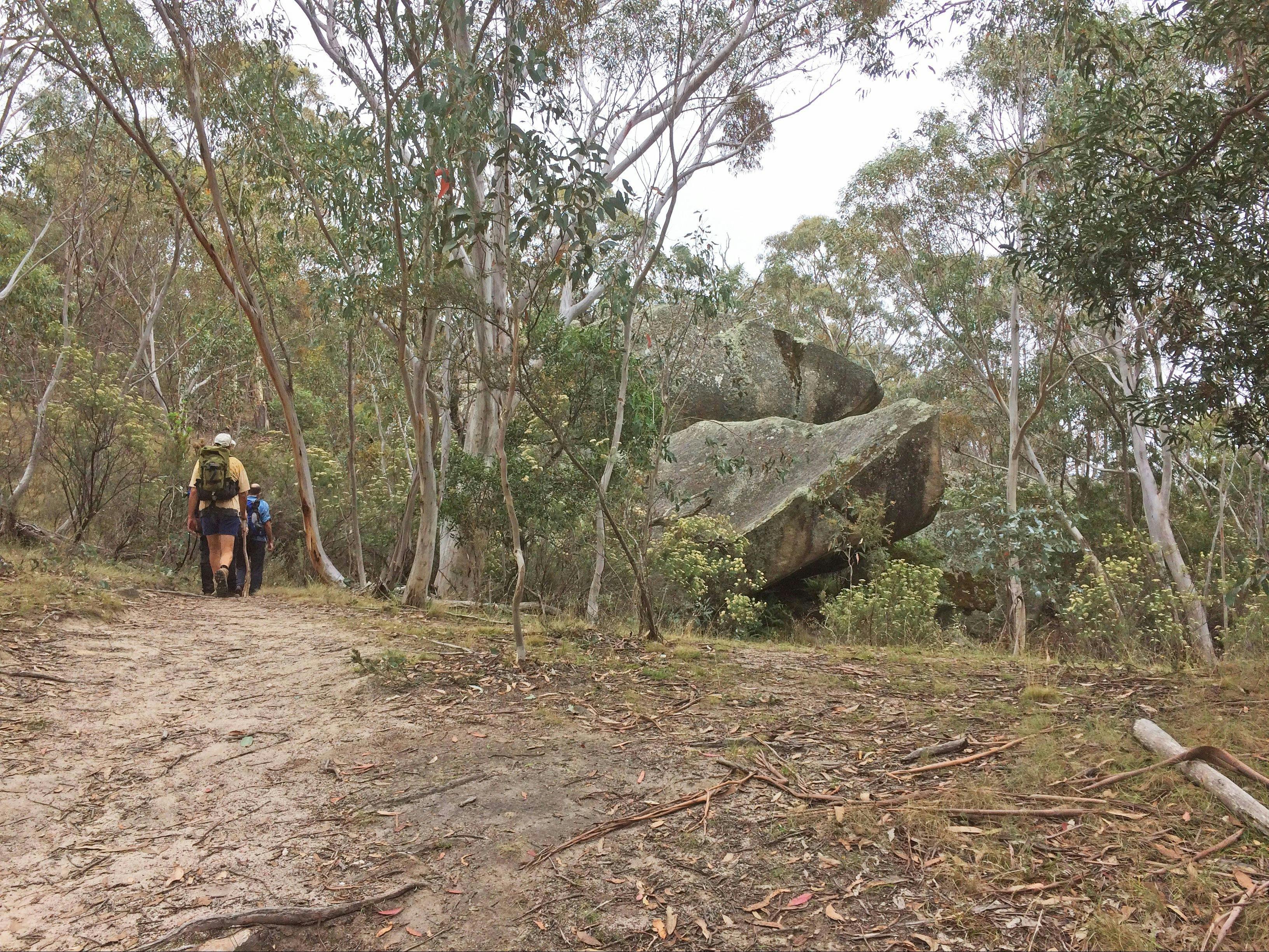 Hikers en route to the Yankee Hat Rock Art site