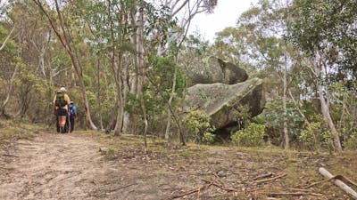 Hikers en route to the Yankee Hat Rock Art site