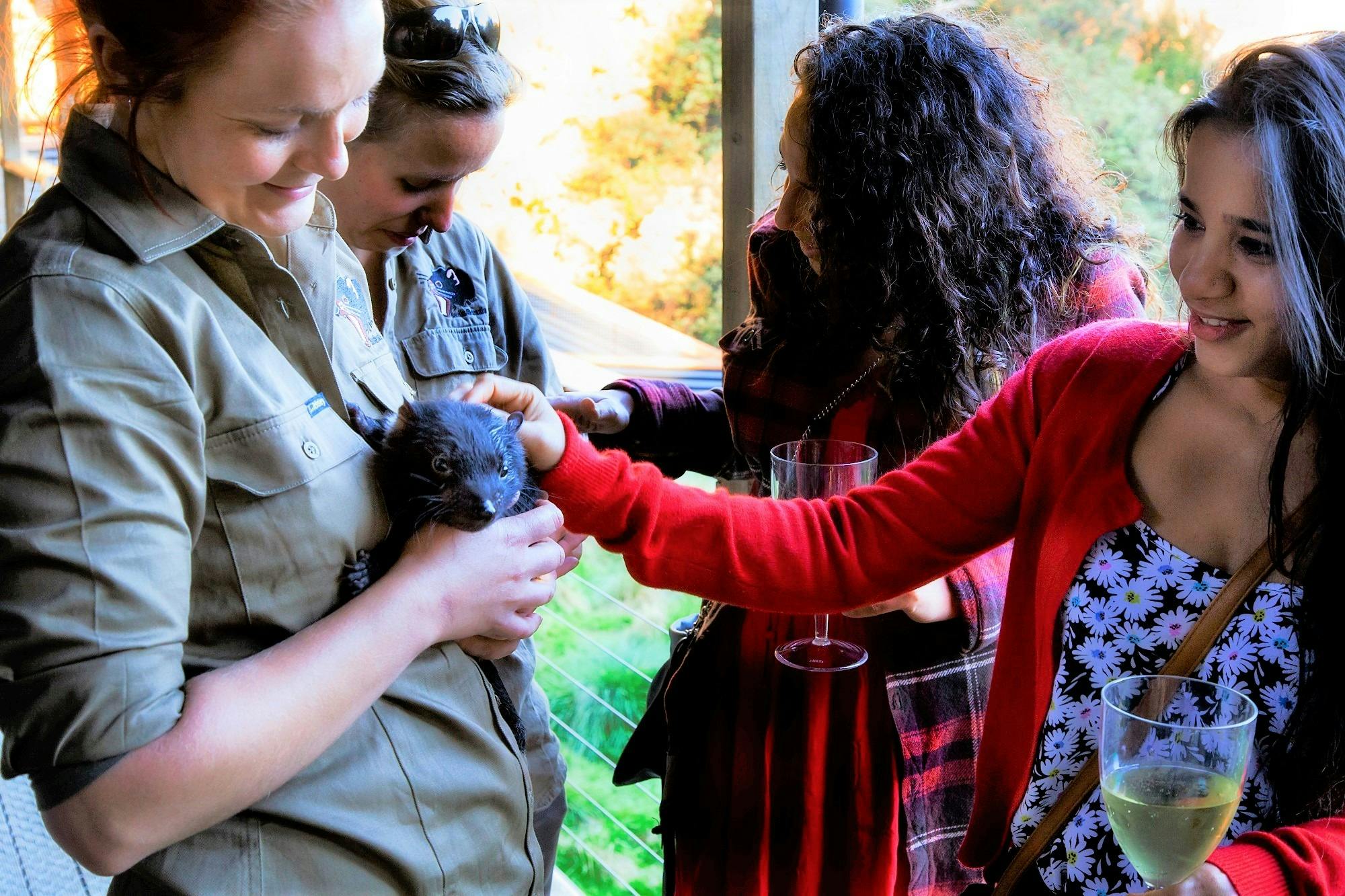 Guests patting tasmanian devil joey being held by keepers.