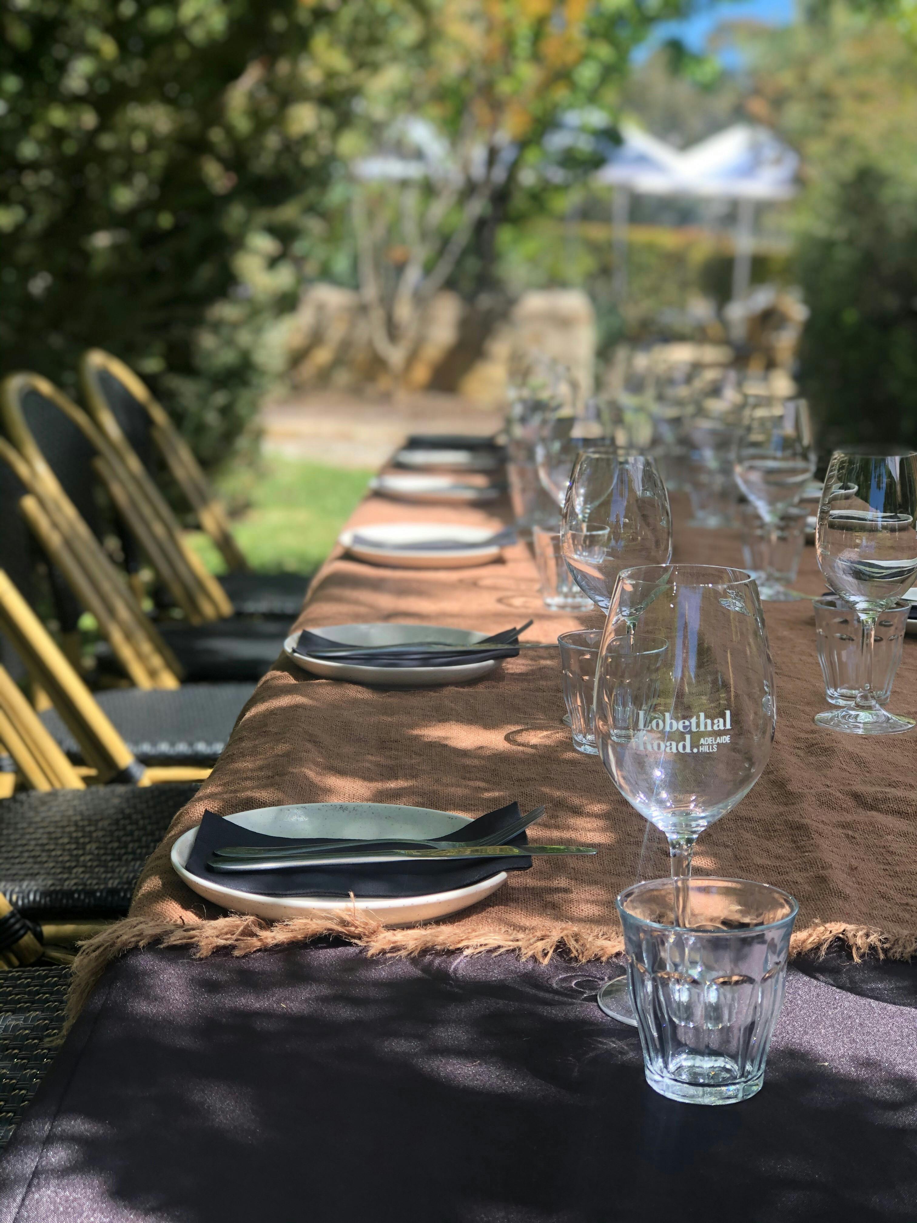 Enjoy lunch in our garden overlooking the vines