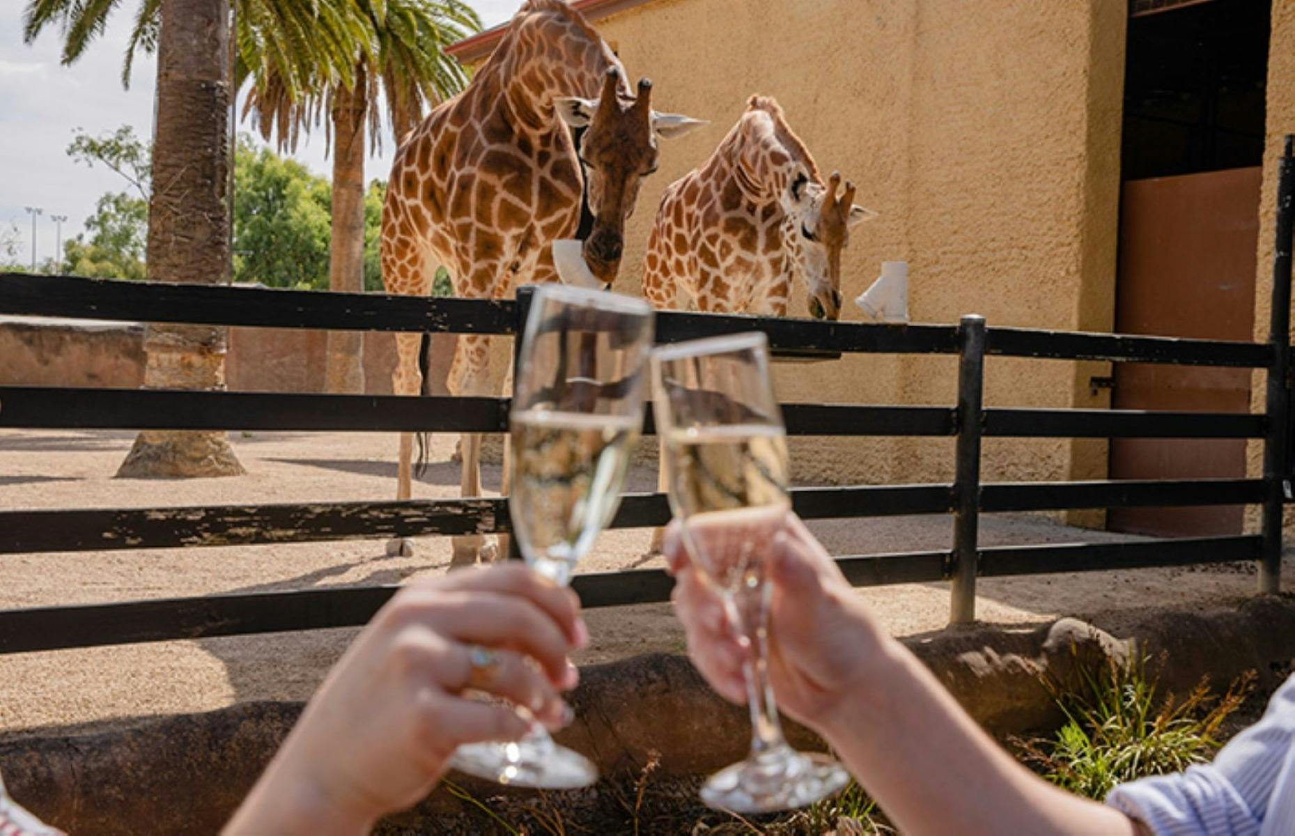 A Taste of Langhorne Creek at the Zoo | Tasting Australia