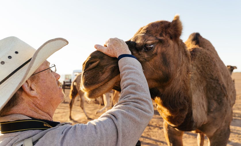 5 Day 5 Night Camel Trek Far North Flinders Ranges SA
