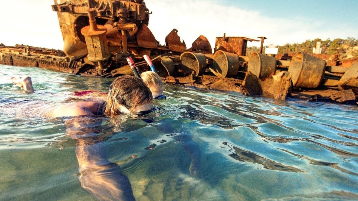 Snorkel at Wrecks