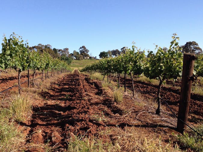 Crabtree Watervale Wines Pty Ltd Watervale, Food and Drink So...