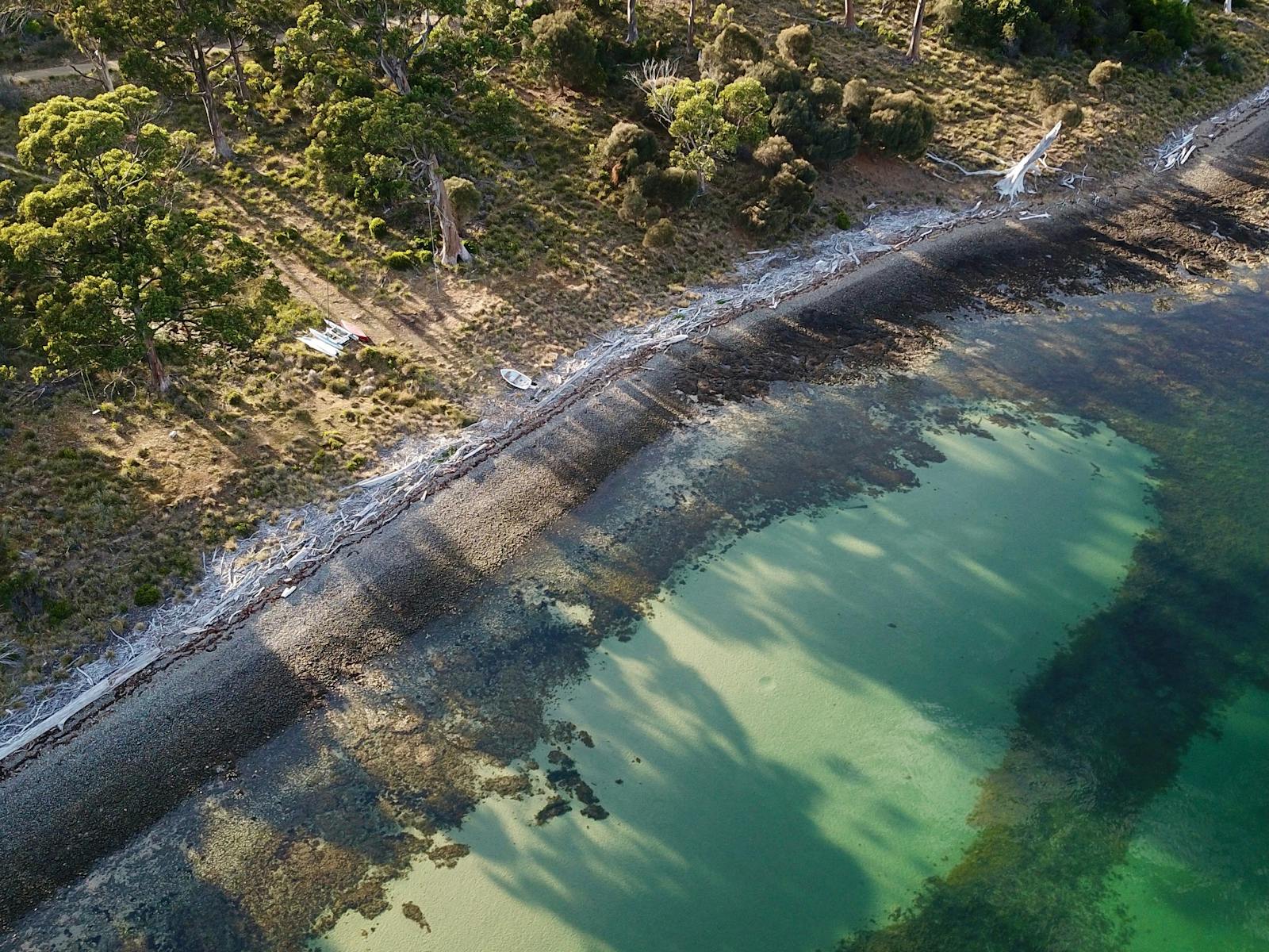 the hide is situated on the rugged coastline of bruny island