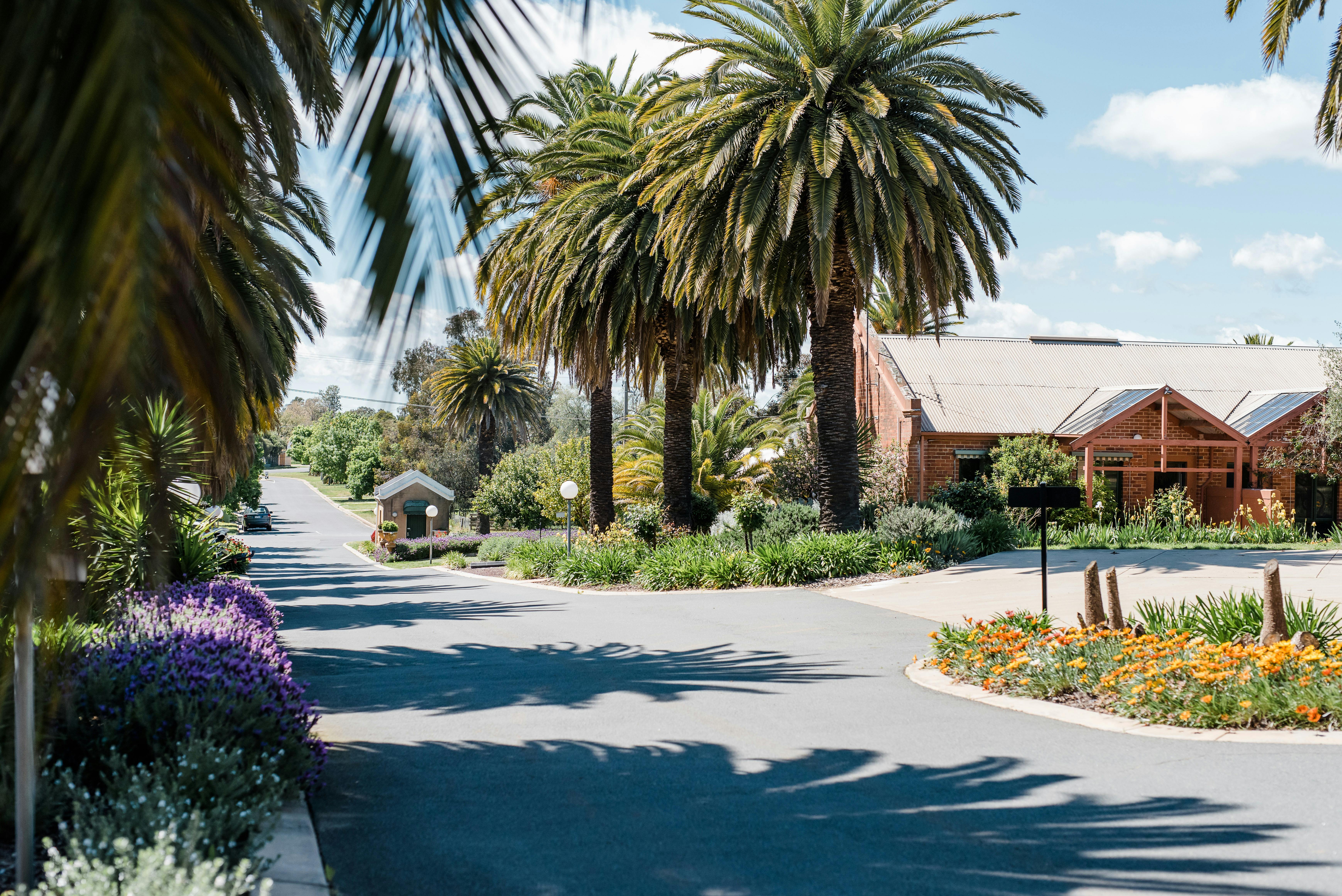Tuileries at De Bortoli Rutherglen driveway