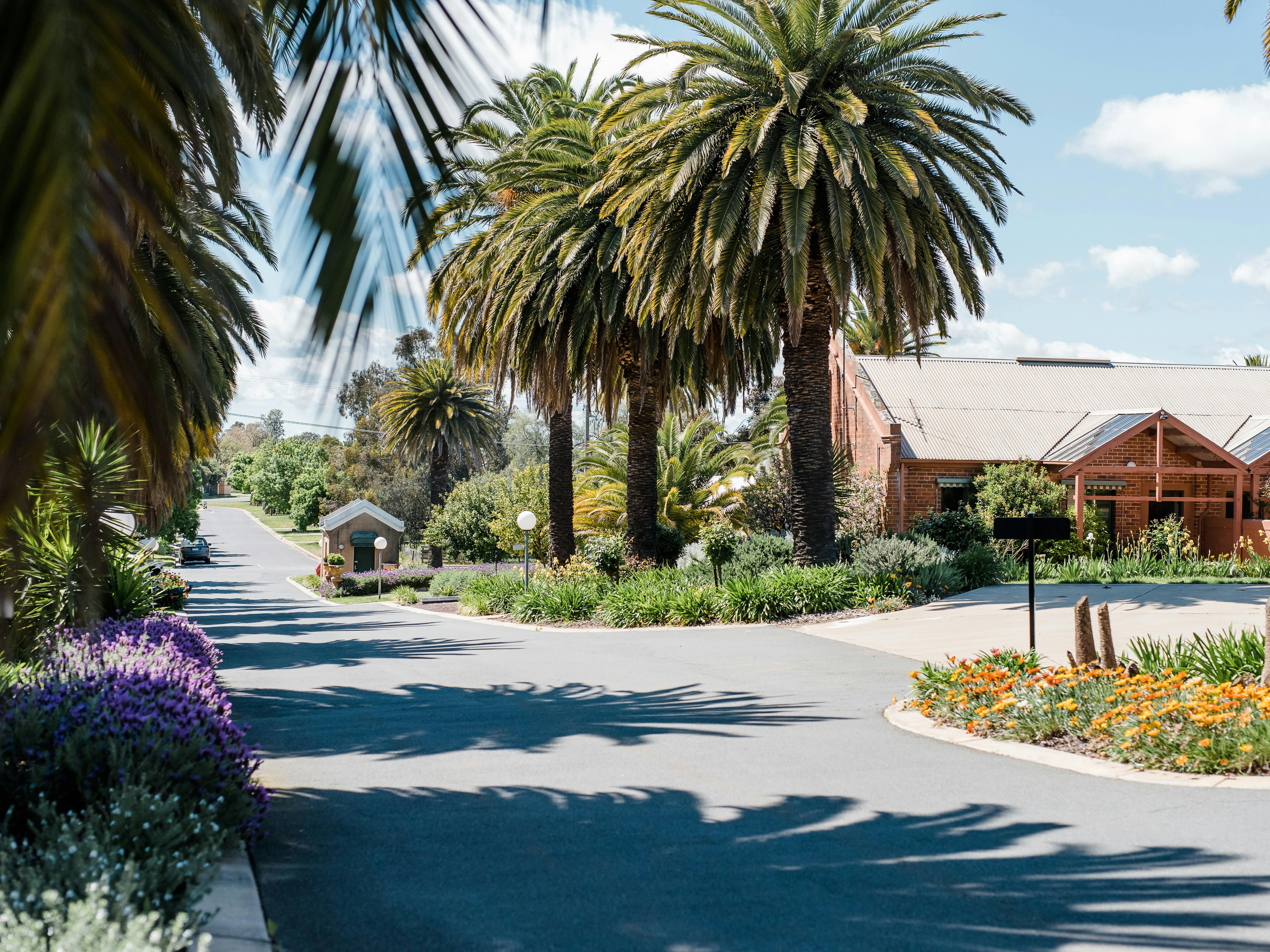 Tuileries at De Bortoli Rutherglen driveway