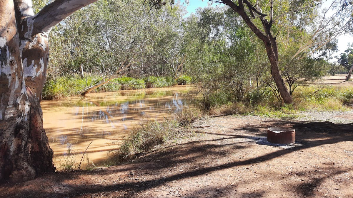 Campsites on the river - Alroy Station