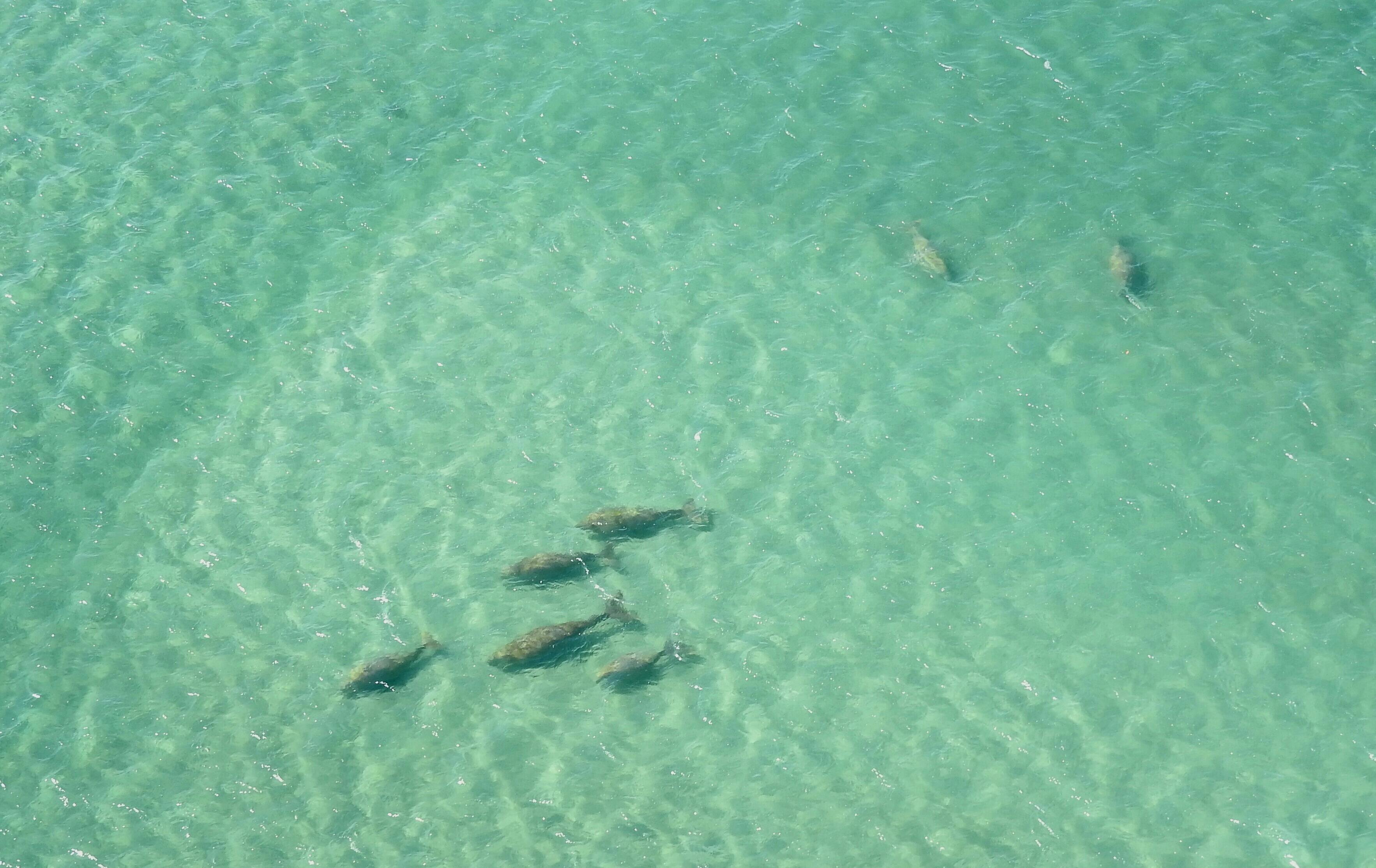 Carlo Crush : Rainbow Beach – Inskip Peninsula