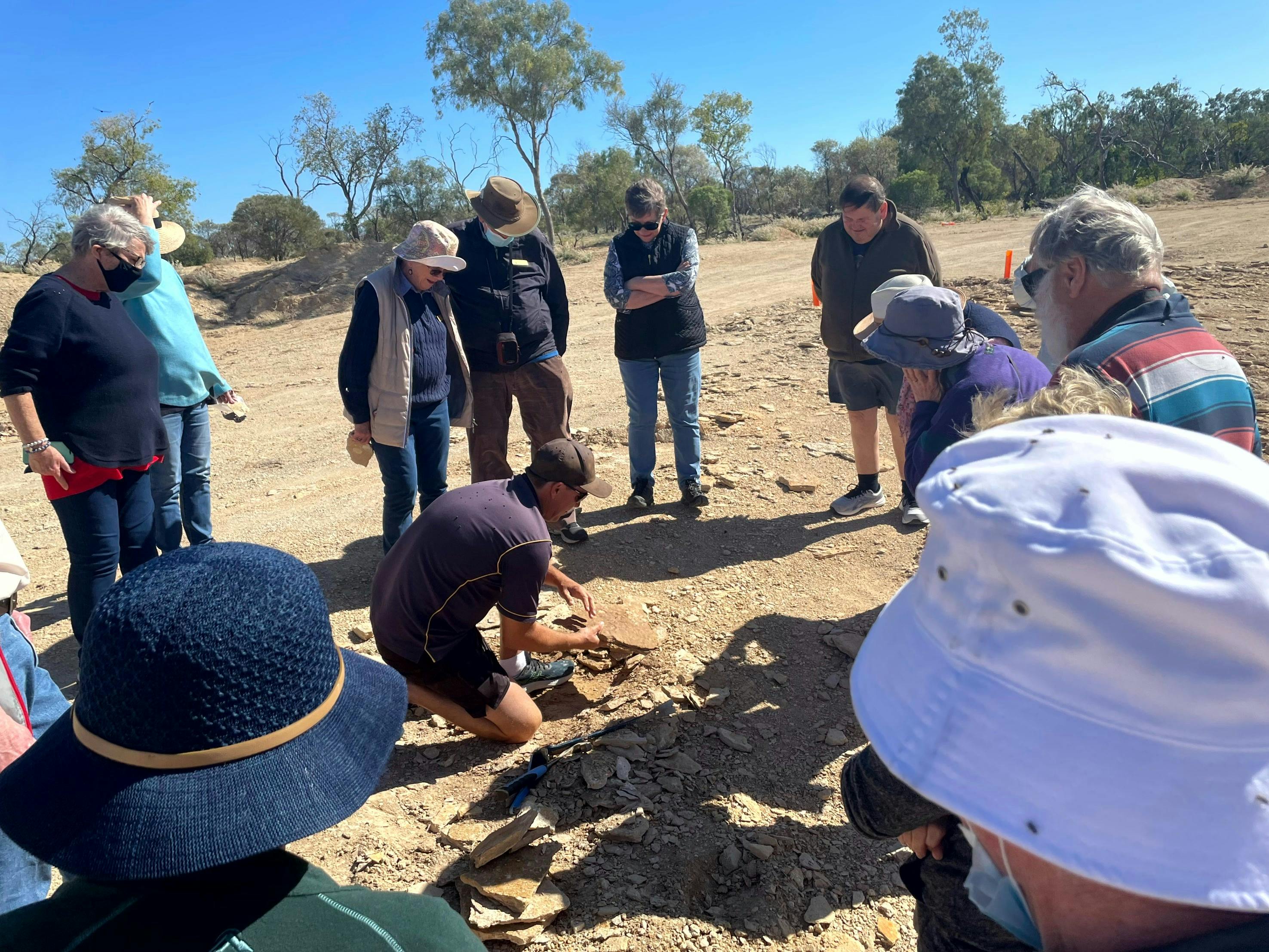 Digging for Fossils Richmond