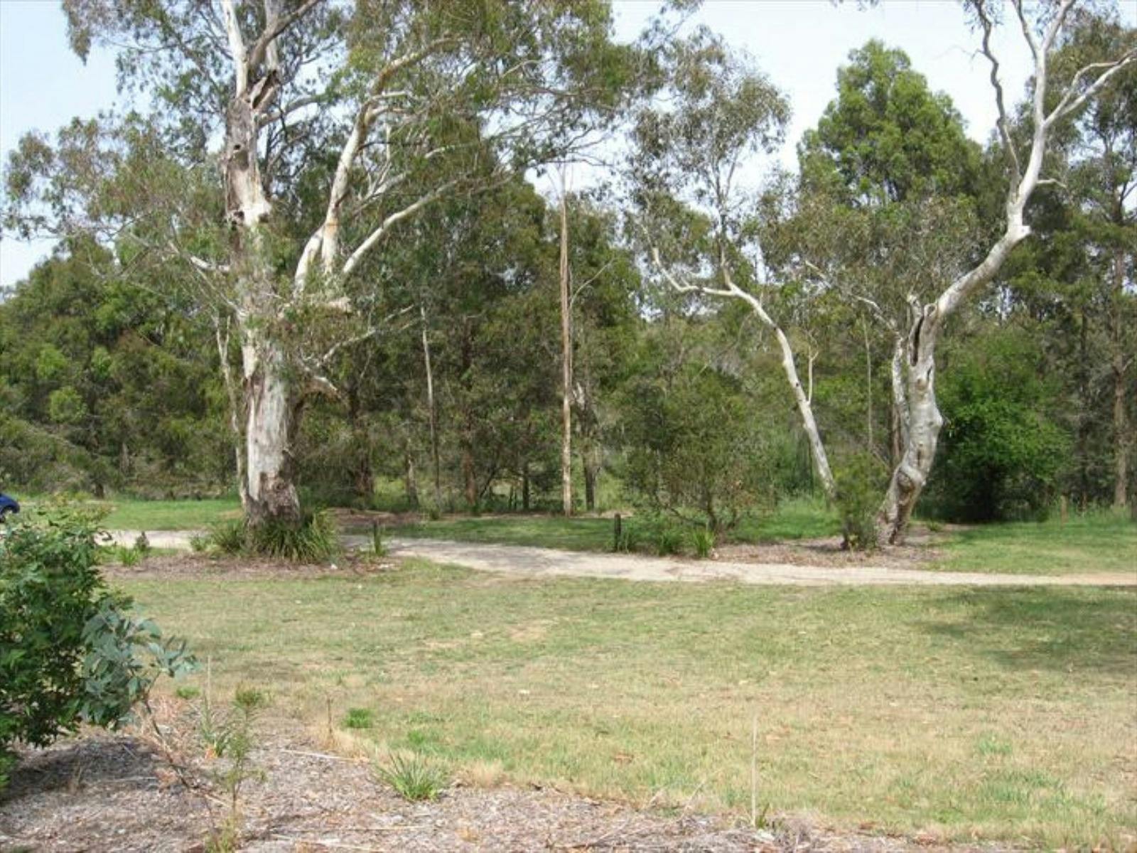 Berrima River Reserve Camping 3