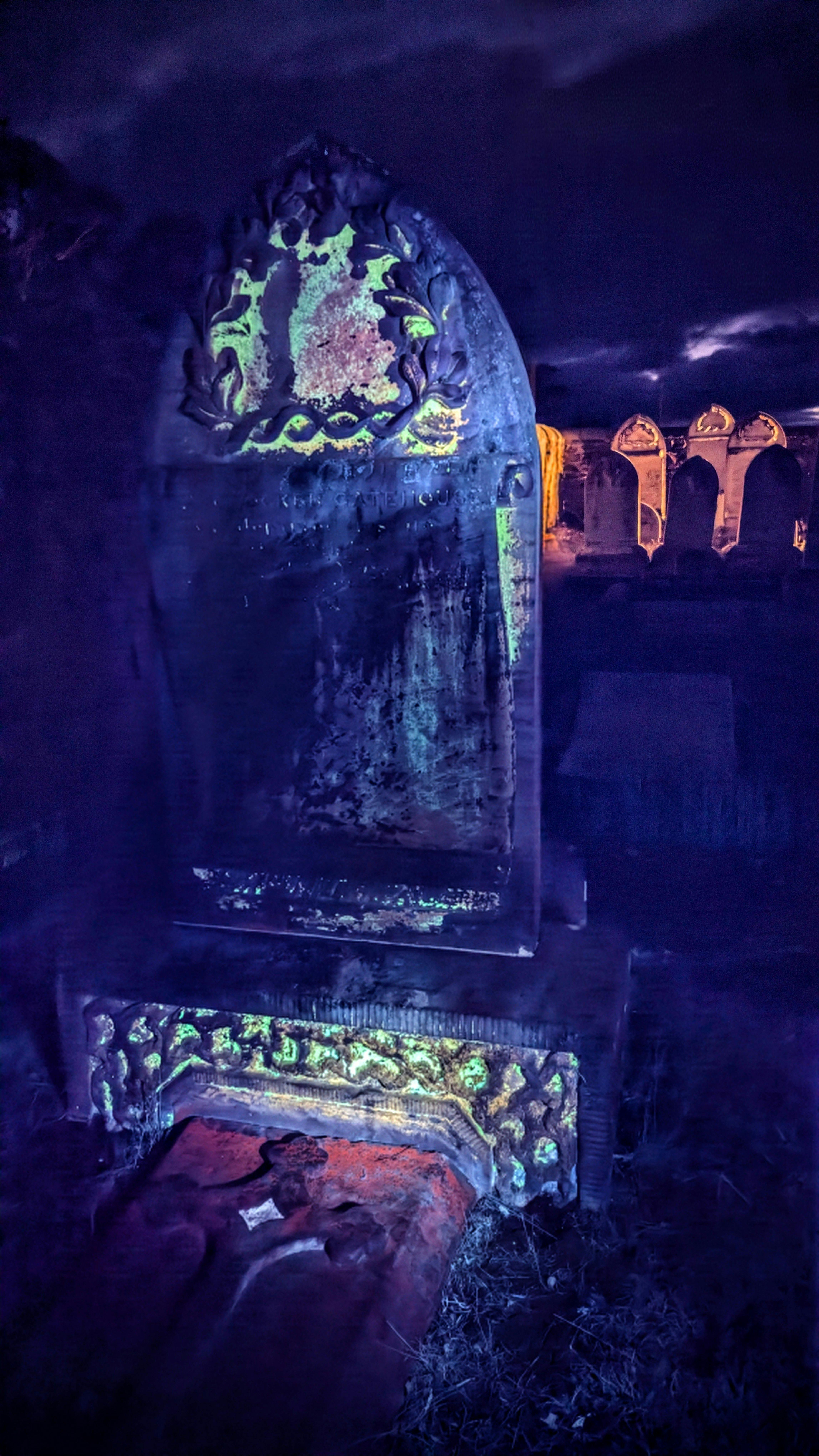 Lichens glowing on a gravestone