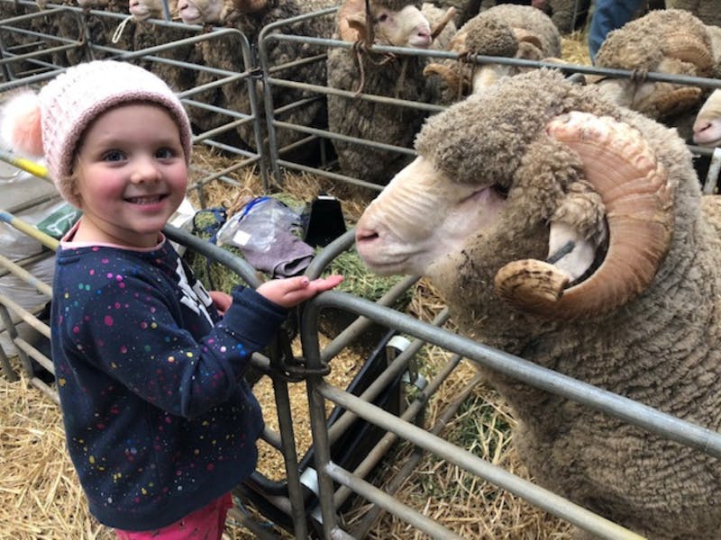 Image for Sheepvention Rural Expo