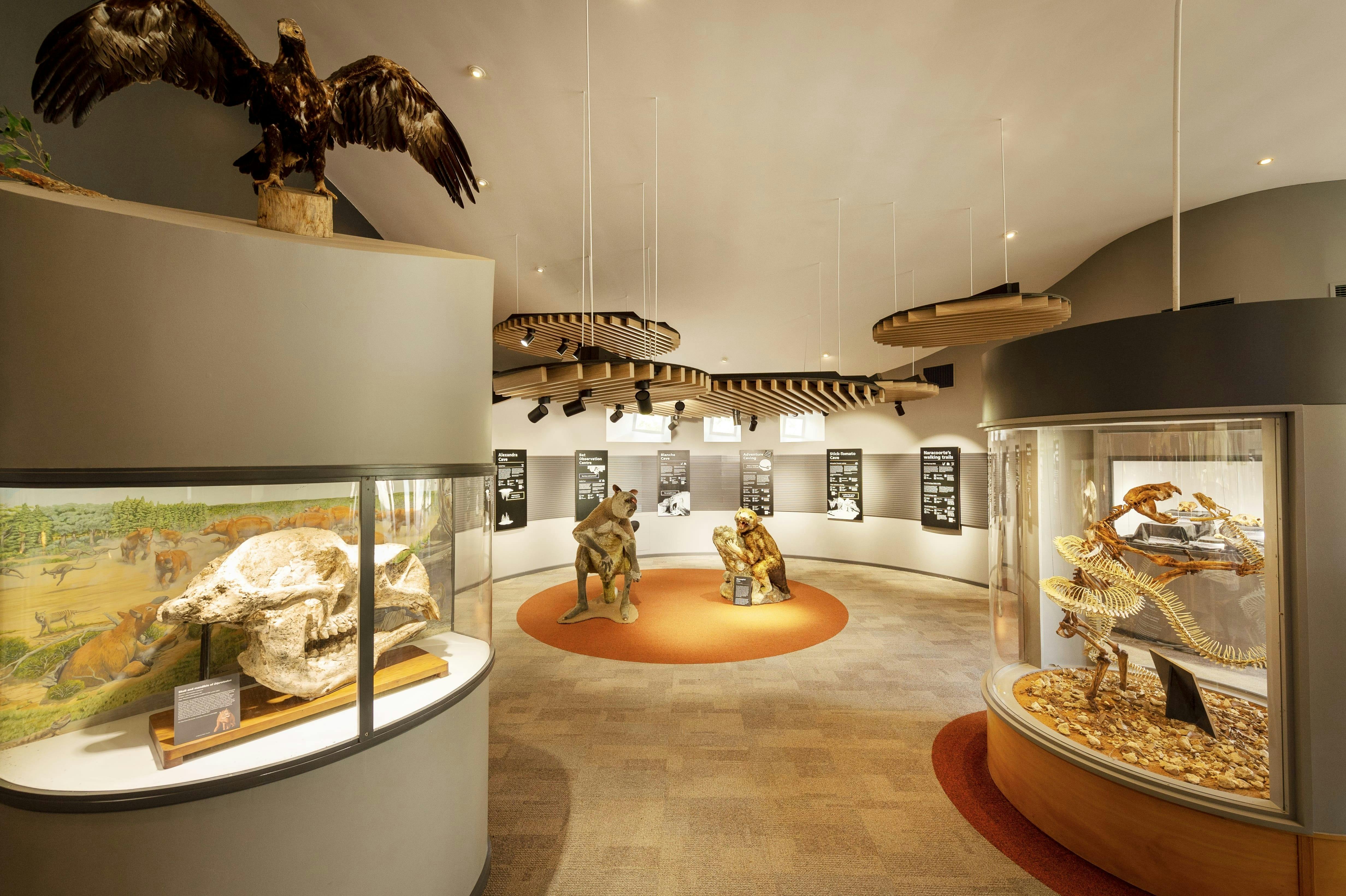 Wonambi Fossil Centre