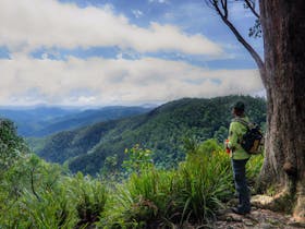 Gloucester Falls Walking Track