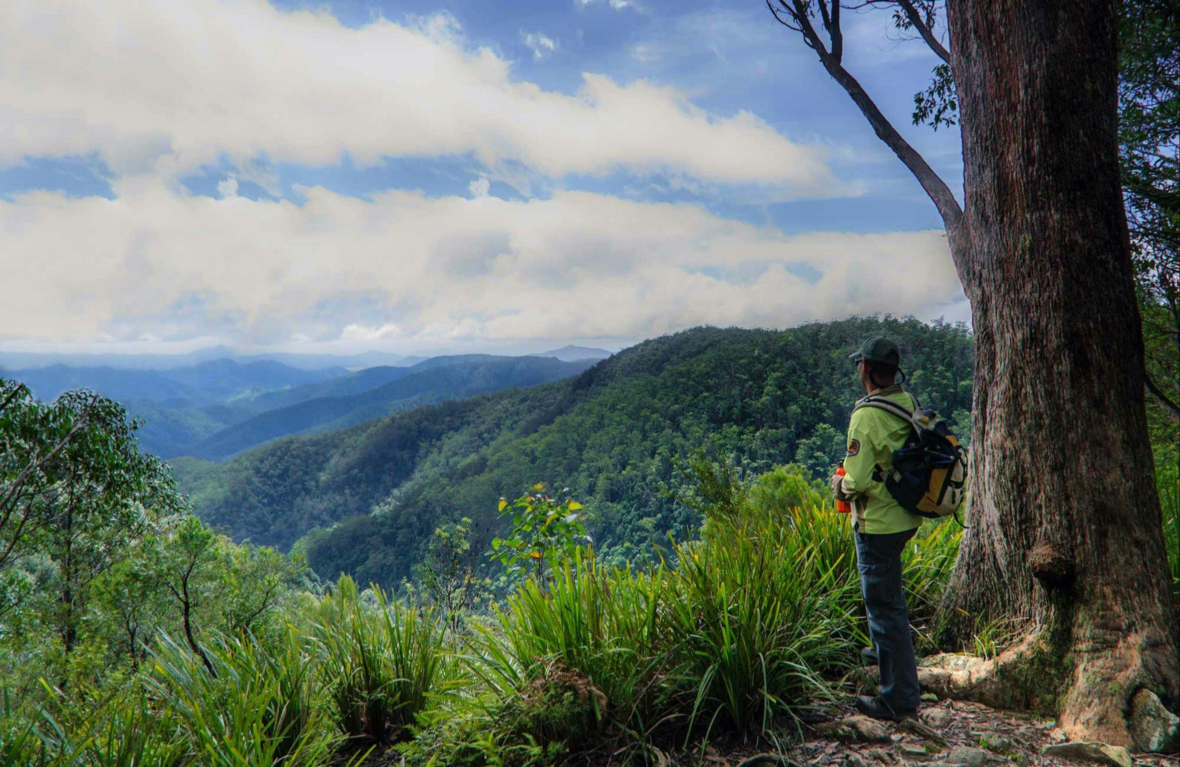 Gloucester Falls Walking Track NSW Holidays Accommodation Things