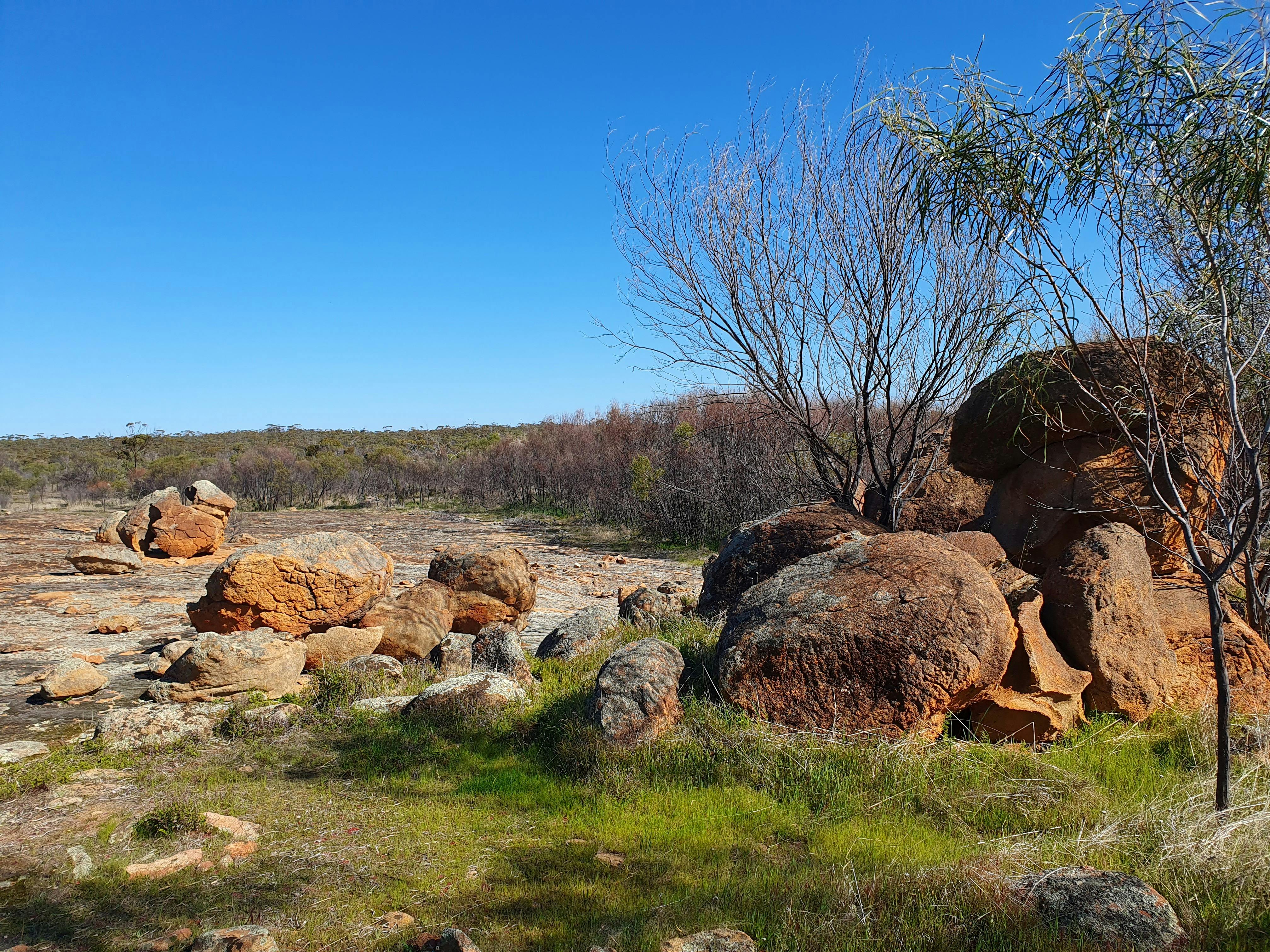 Talgomine Reserve