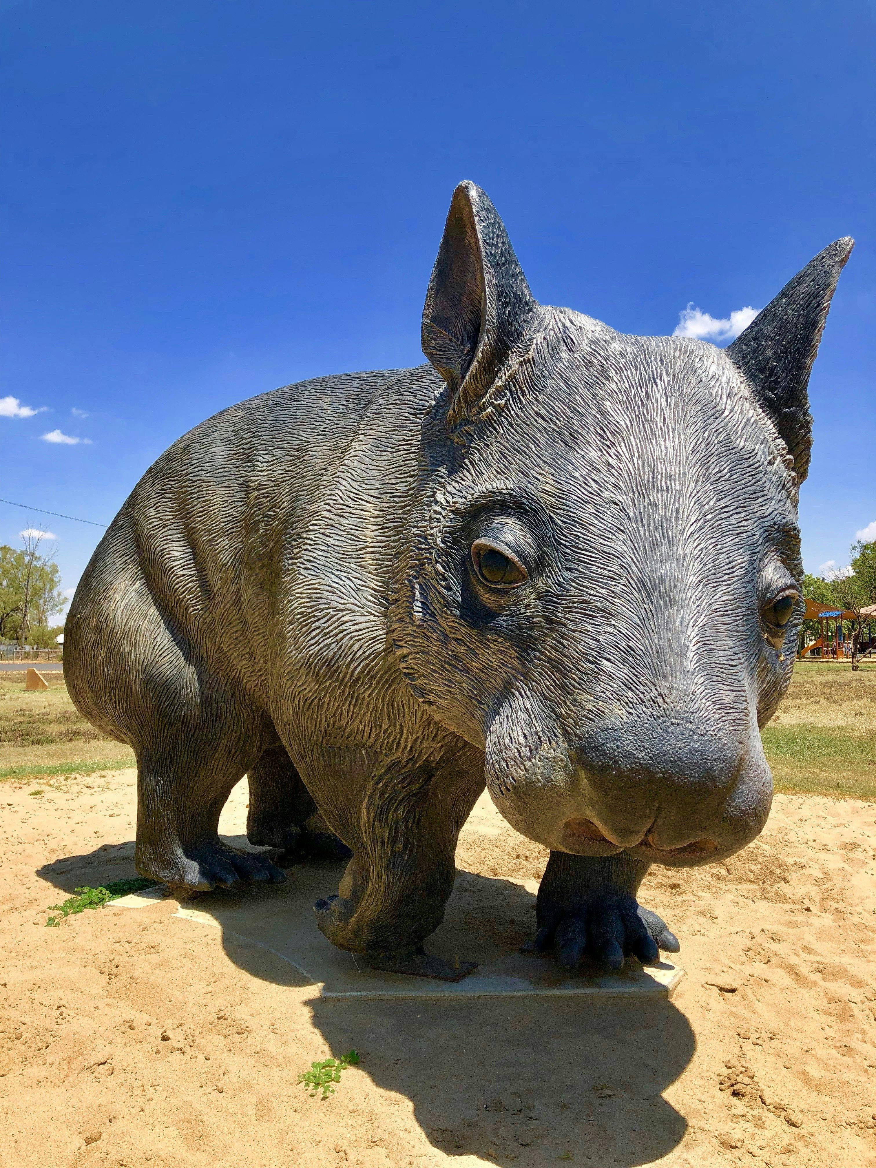 William the Hairy-Nosed Wombat Statue
