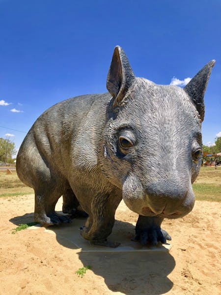 William the Hairy-Nosed Wombat Statue