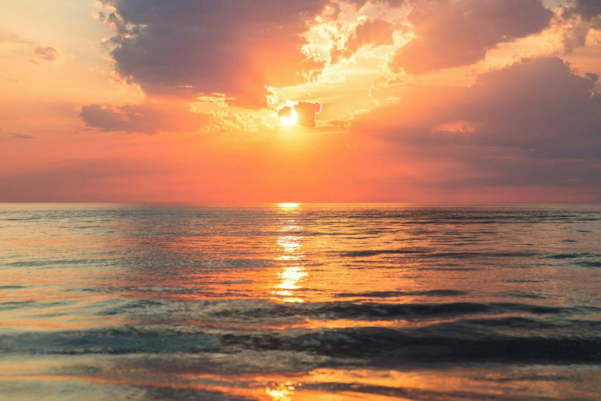Food for Thought: Meditation and Refreshments