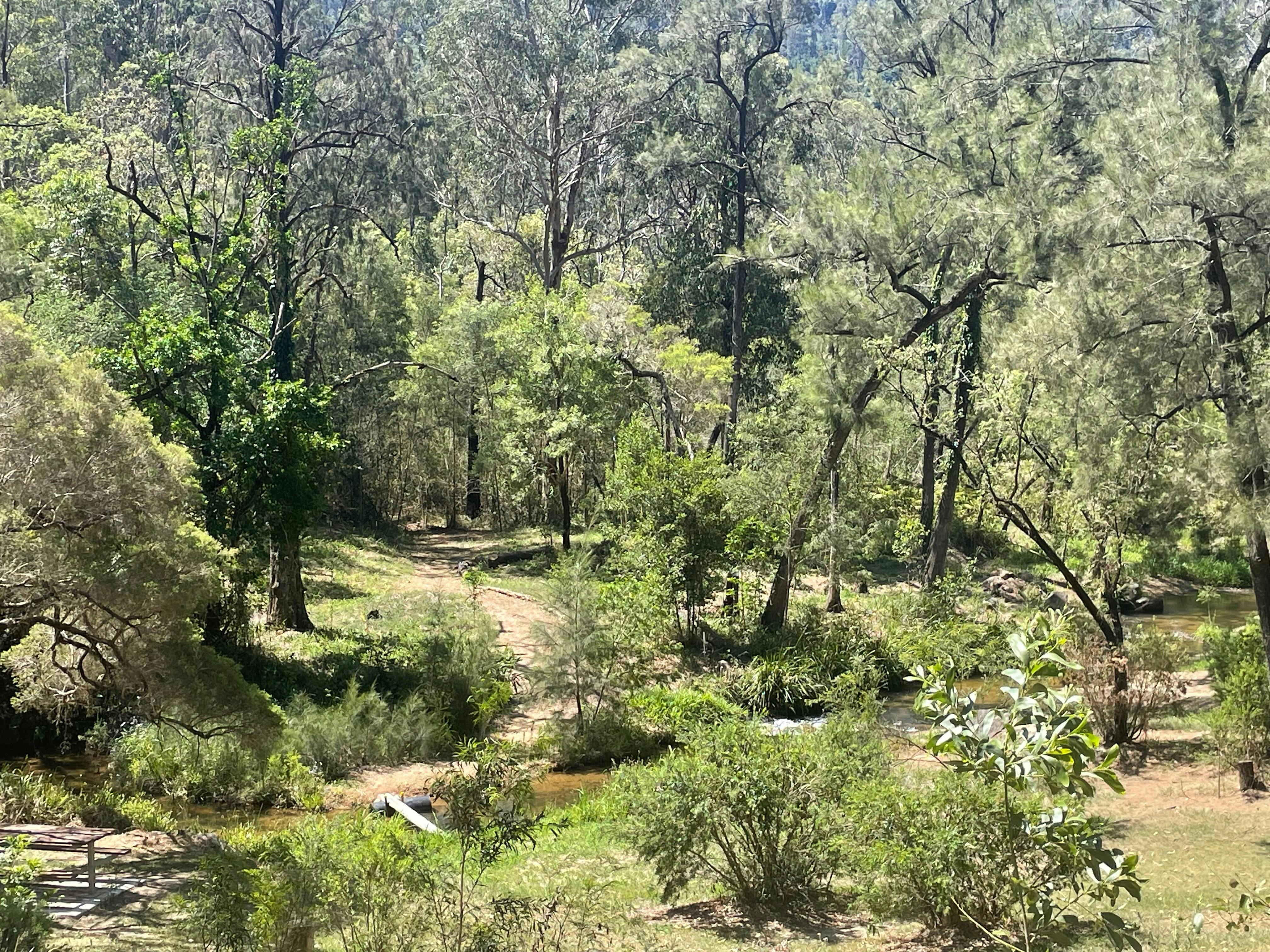 Natural surroundings with creek