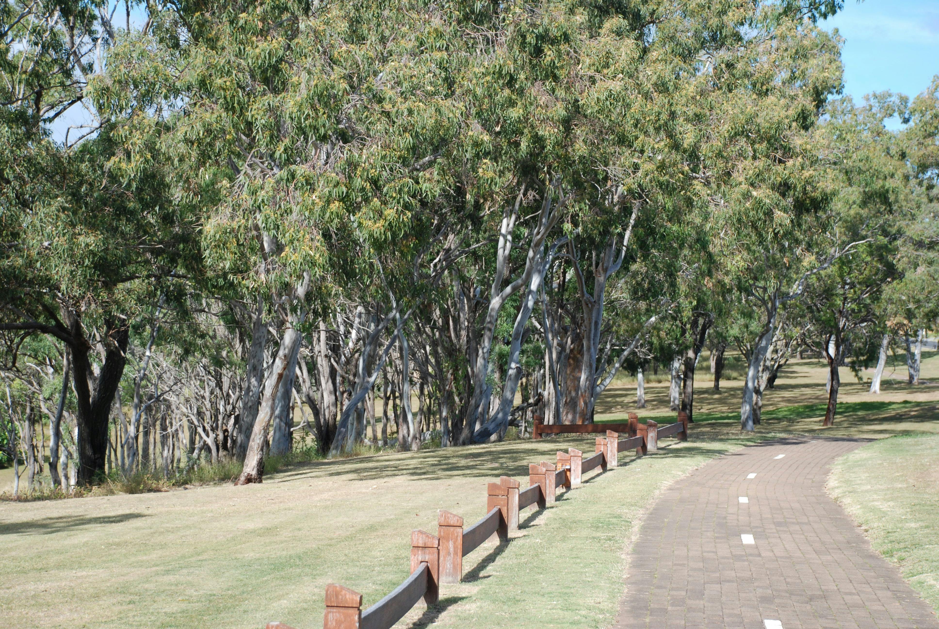 photo of the Recreation Pathway along Point Vernon waterfront
