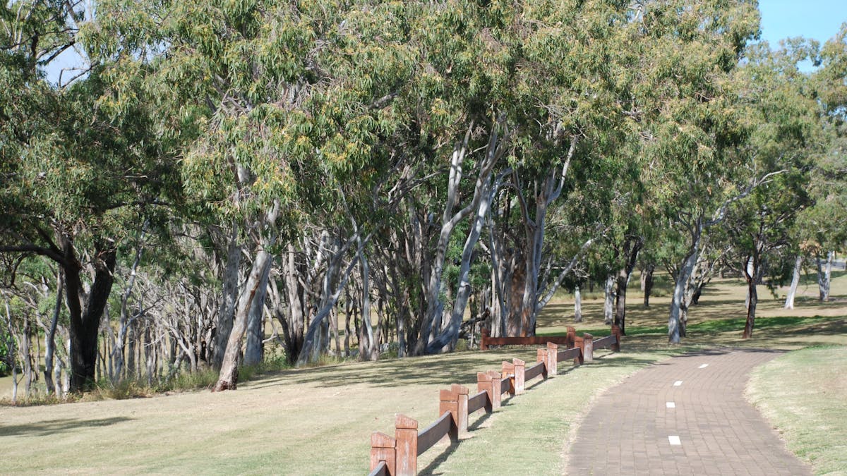photo of the Recreation Pathway along Point Vernon waterfront