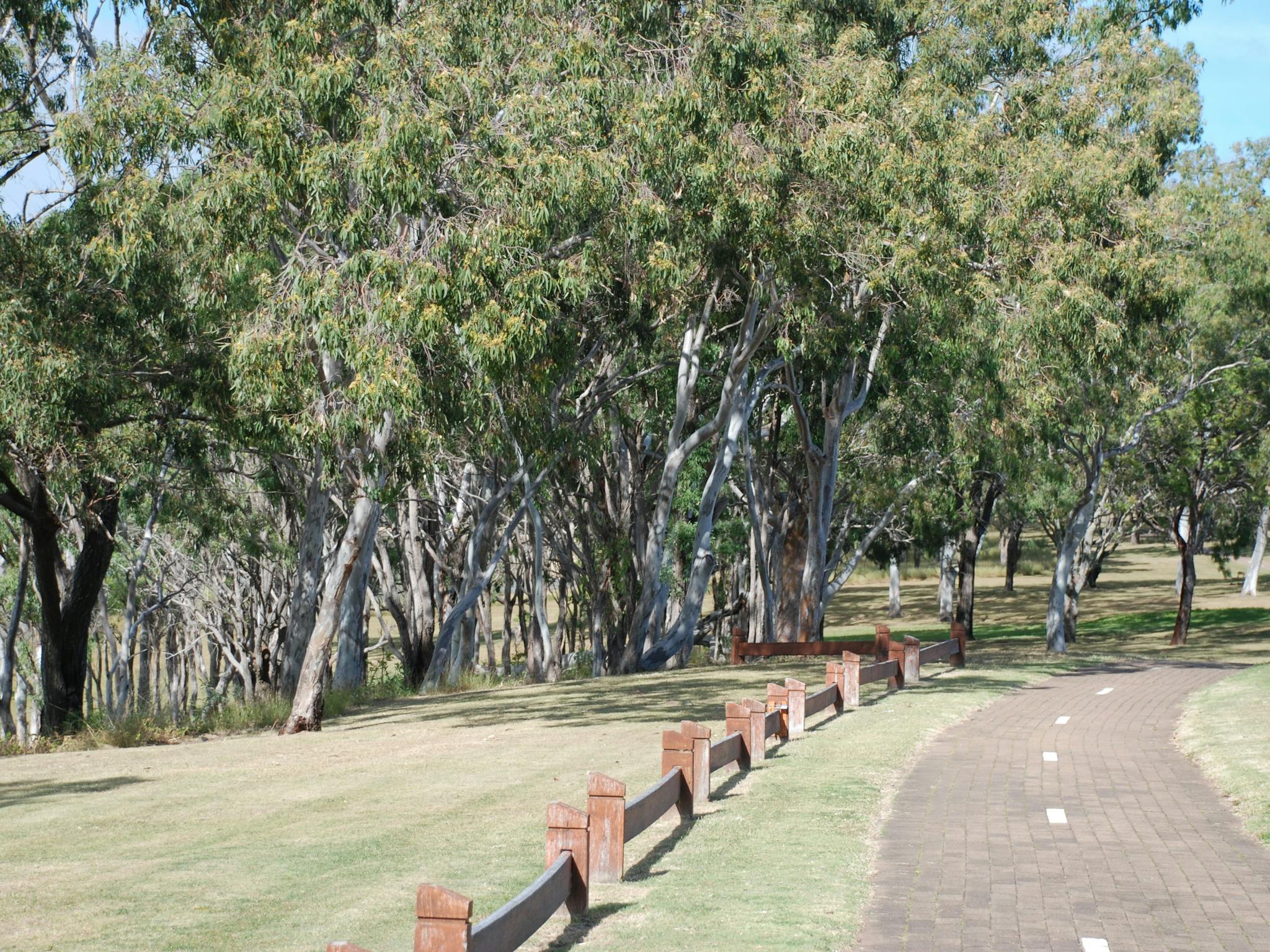 photo of the Recreation Pathway along Point Vernon waterfront