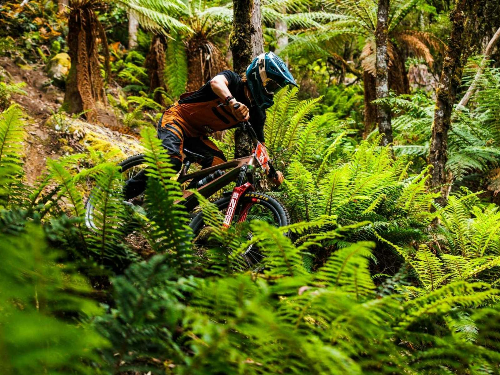 Rider racing at Maydena Bike Park in amongst ferns at Enduro Jam