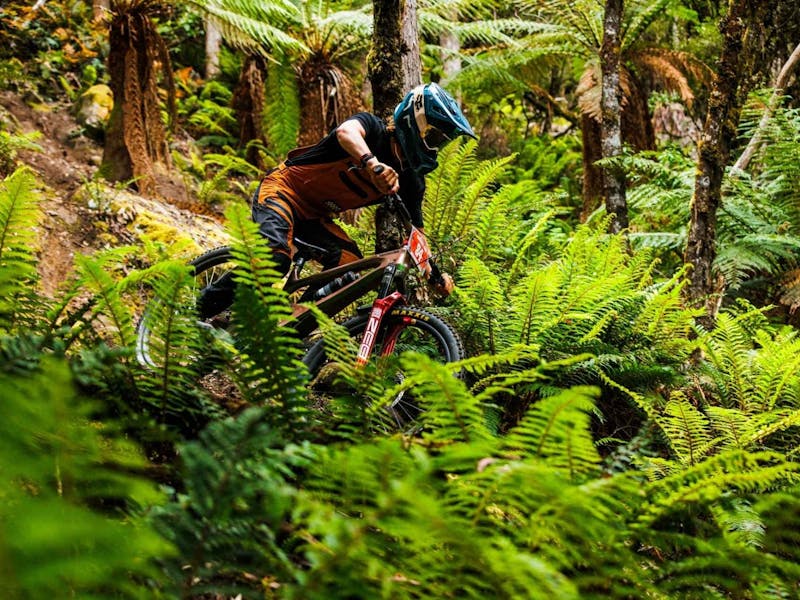 Rider racing at Maydena Bike Park in amongst ferns at Enduro Jam
