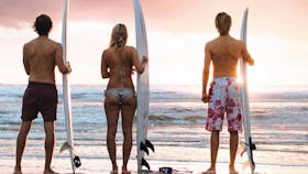 MojoSurf