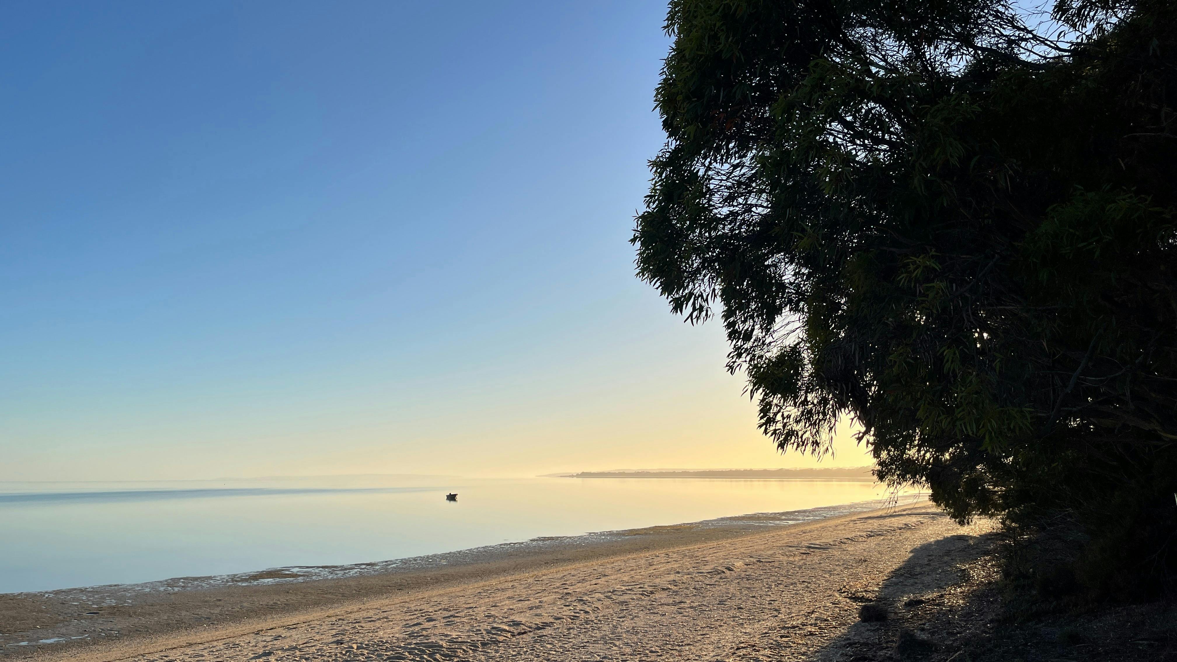 Nepean Bay Beach