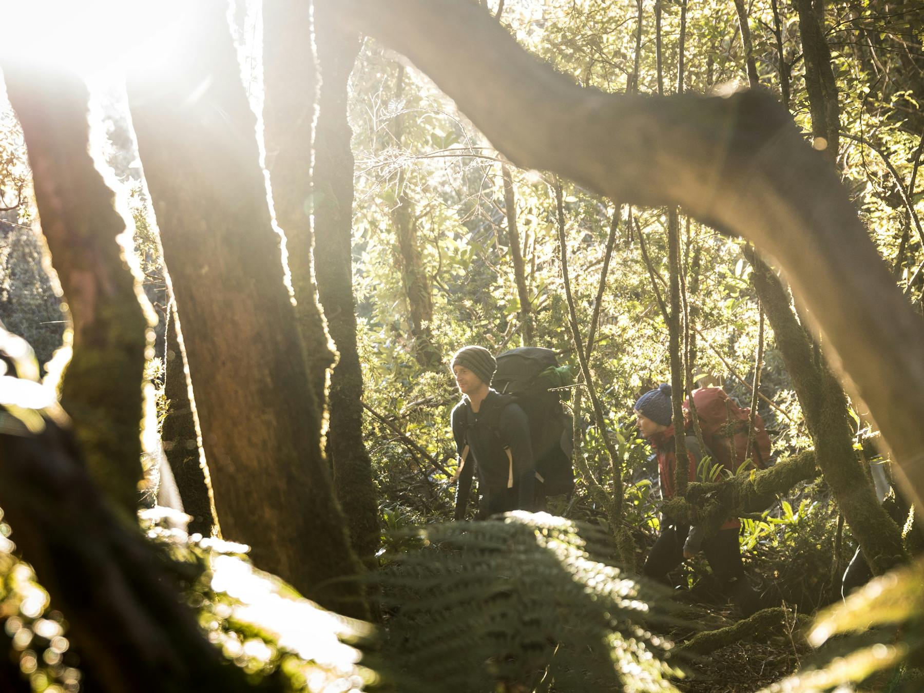Tasman National Park