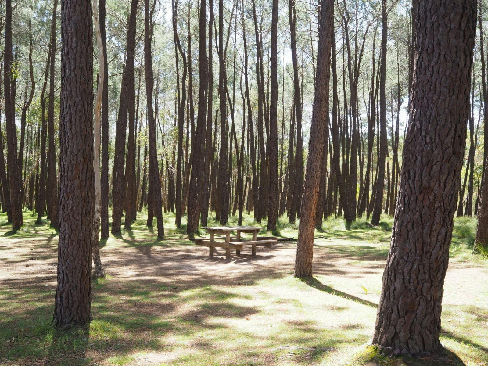 Rocky Creek Campground