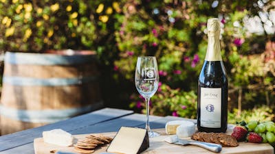 Journey Through Time: Unveiling the Vast Museum of Flavors at Jeir Creek Wines' Wine Tasting Experie