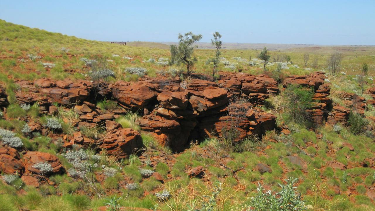Millstream-Chichester National Park