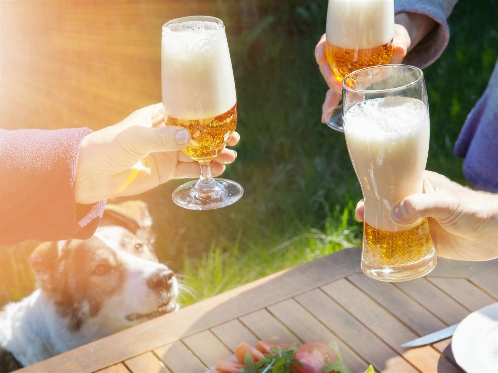 Paws and Pubs