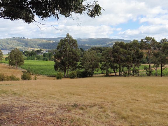 Elsewhere Vineyard and Farm